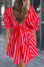 Striped Half Button Puff Sleeve Loose Mini Dress